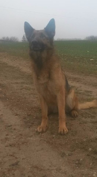 Ice-ball Du Mistral Normand